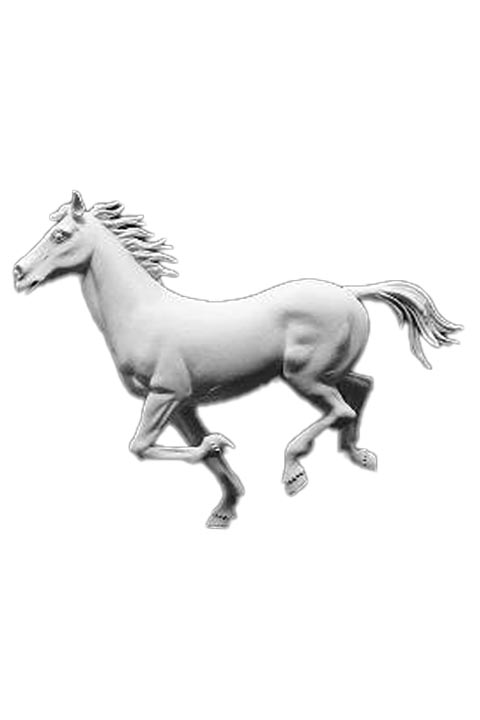 Galloping Horse 2