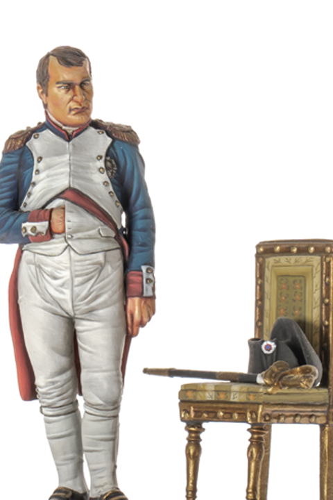 Napoleon at the Tulleries